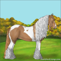 Horse Color:Chestnut Tobiano