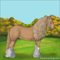 Horse Color:Chestnut Tobiano