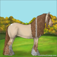 Horse Color:Red Dun Tobiano 