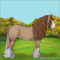 Horse Color:Red Dun Splash