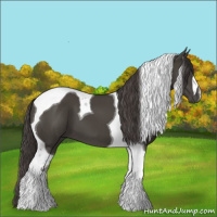 Horse Color:Smoky Black Tobiano