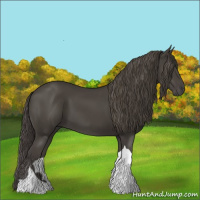 Horse Color:Smoky Black Tobiano