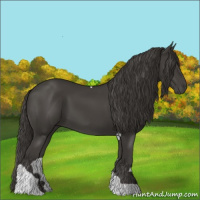 Horse Color:Smoky Black Tobiano 