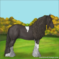 Horse Color:Smoky Black Tobiano