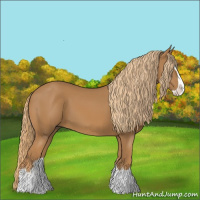 Horse Color:Chestnut Splash