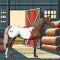 Horse Color:Silver Bay Appaloosa 