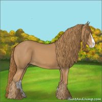 Horse Color:Chestnut Splash