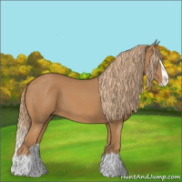 Horse Color:Chestnut Splash