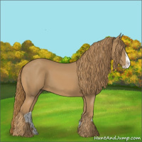 Horse Color:Chestnut Splash