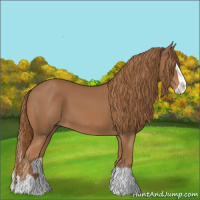 Horse Color:Chestnut Splash 