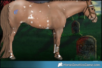 Horse Color:White Spotted Black Pearl 