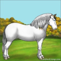 Horse Color:Plaid Bay Ice Splash Tobiano Appaloosa