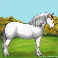 Horse Color:Bay Ice Sabino Splash Tobiano Near Leopard 