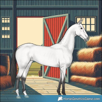 Horse Color:Platinum Buckskin Roan 