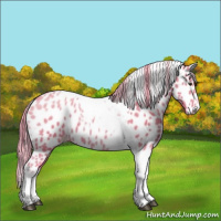 Horse Color:Watercolor Chestnut Tobiano Appaloosa 
