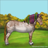 Horse Color:Painted Chestnut Ice Varnish 