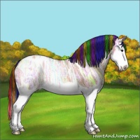 Horse Color:Painted Bay Ice Dun Splash Blanket Rabicano 