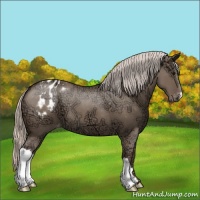Horse Color:Silver Grullo Ice Varnish 