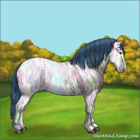 Horse Color:Painted Grullo Ice Appaloosa 