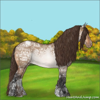 Horse Color:Bay Ice Dun Appaloosa 