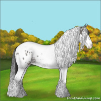 Horse Color:Grullo Ice Splash Tobiano Blanket 