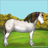 Horse Color:Painted Bay Ice Dun Splash Varnish 
