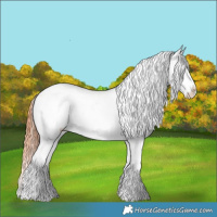 Horse Color:White Spotted Bay Ice Dun Splash Appaloosa