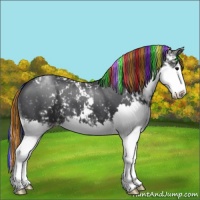 Horse Color:Painted Black Sabino Splash Varnish 