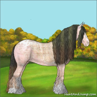 Horse Color:Plaid Bay Ice Sabino Varnish