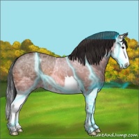 Horse Color:Thunderstruck Bay Ice Sabino Splash Varnish 