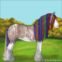 Horse Color:Painted Nacre Bay Ice Sabino Splash Appaloosa 