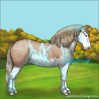 Horse Color:Thunderstruck Red Dun Sabino Splash 