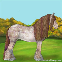 Horse Color:Plaid  Chestnut Ice Varnish 