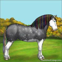Horse Color:Painted Black Sabino Splash