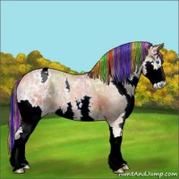 Horse Color:Painted Nacre Chestnut Ice Sabino Splash Varnish Rabicano