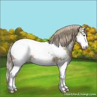 Horse Color:Watercolor Chestnut Sabino Splash Appaloosa