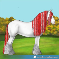 Horse Color:Painted Chestnut Ice Splash Appaloosa Rabicano