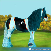 Horse Color:Thunderstruck Chestnut Sabino Snowcap 