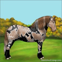 Horse Color:White Spotted Chestnut Ice Varnish 