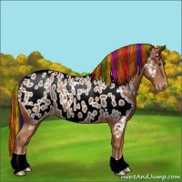 Horse Color:Painted Chestnut Blanket