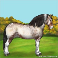 Horse Color:Brown Ice Onyx Tobiano Appaloosa 