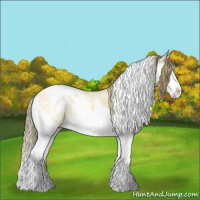 Horse Color:White Spotted Buckskin Ice Splash Varnish 