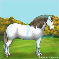 Horse Color:Thunderstruck Buckskin Splash Near Fewspot 