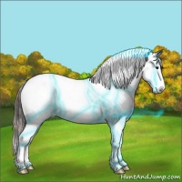 Horse Color:Thunderstruck Plaid  Bay Dun Splash Tobiano Appaloosa 