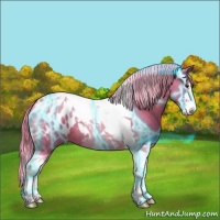 Horse Color:Thunderstruck Watercolor Chestnut Sabino Tobiano Blanket 