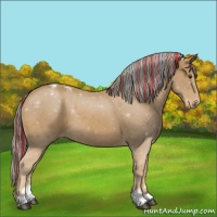 Horse Color:Painted Chestnut Sabino Varnish 