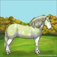 Horse Color:Watercolor Palomino Splash Varnish 