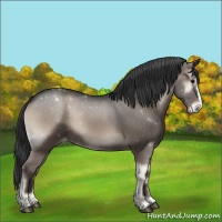 Horse Color:Blue Onyx Varnish 