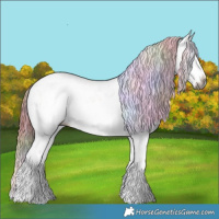 Horse Color:Gray Nacre Red Dun Ice Sabino Splash Rabicano 