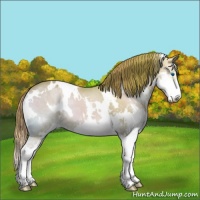 Horse Color:Watercolor White Spotted Red Onyx Ice Splash 